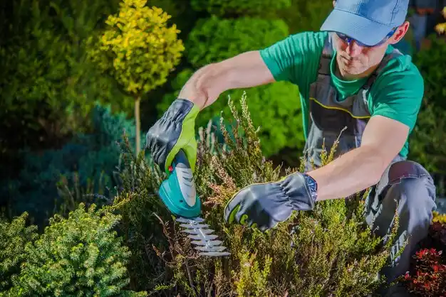 landscaping services Southbridge